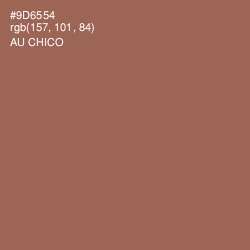 #9D6554 - Au Chico Color Image